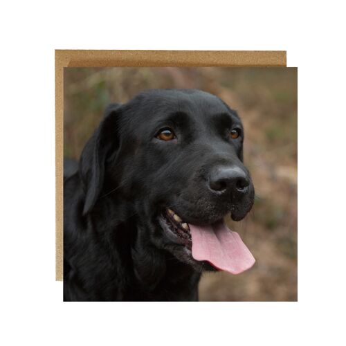 Labradorable - black Lab greeting card