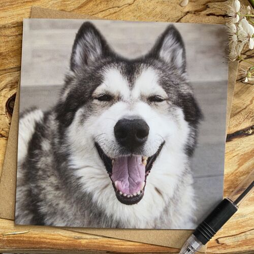 Happy Malamute greeting card