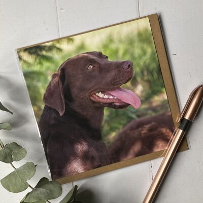 Labrador marrón, fiel amigo Tarjetas de felicitación