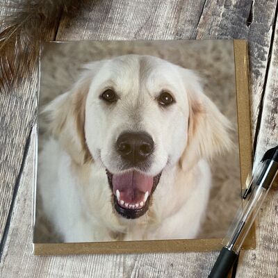 Golden retriever - happy that your home greeting card