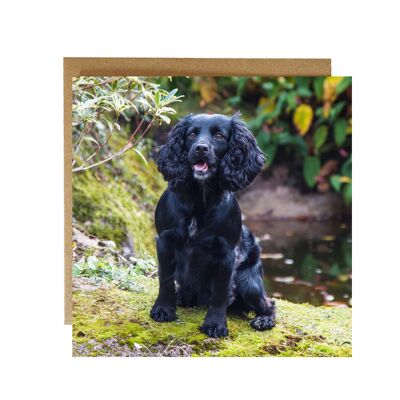 Schwarzer Spaniel, der im Waldgrußkarte sitzt