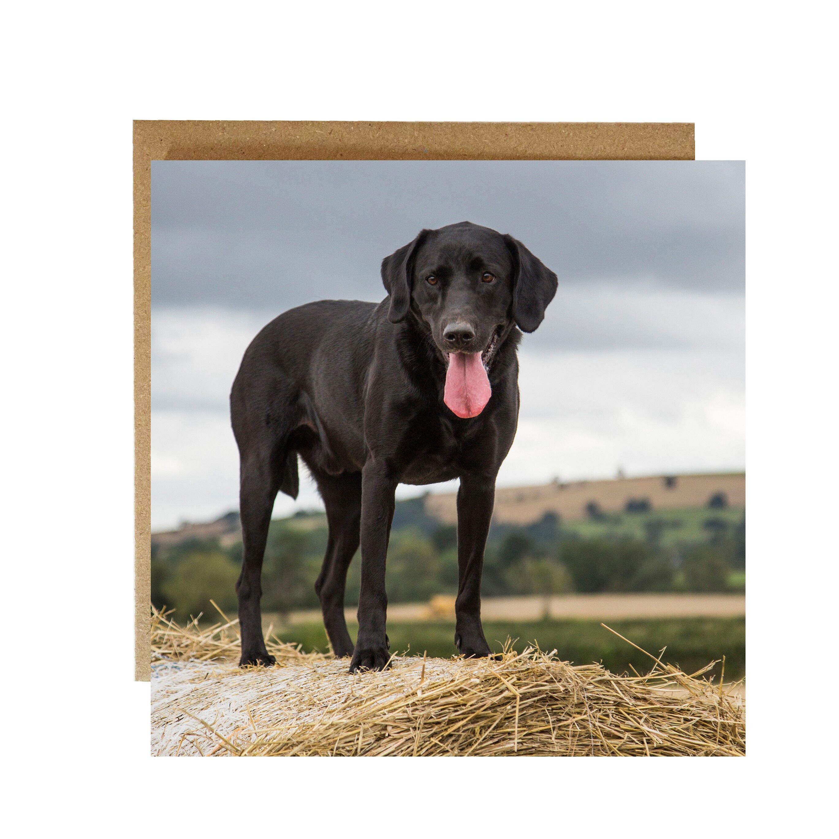 Biglietto di auguri per il laboratorio nero dell'avventura di Bramble