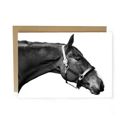 ¿Es este mi buen retrato de caballo lateral en tarjeta blanca?
