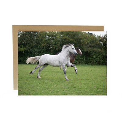 Running with Friends Horse Greeting card