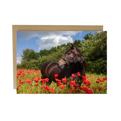 Looking pretty in the poppies horse card