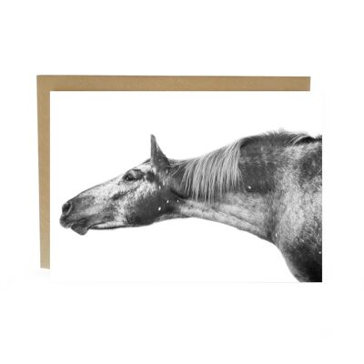 Se pencher pour une carte de portrait de cheval baiser