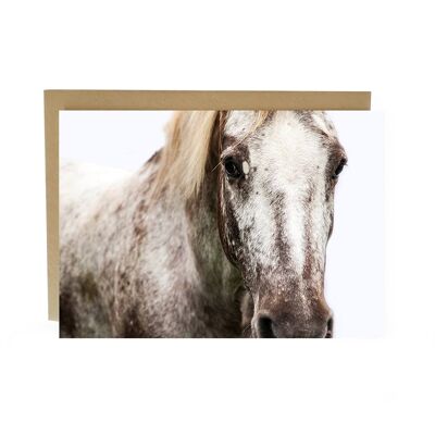 Vea en su tarjeta de retrato de caballo de sobra