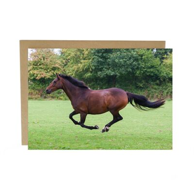 Horse flying along in a field Greeting card