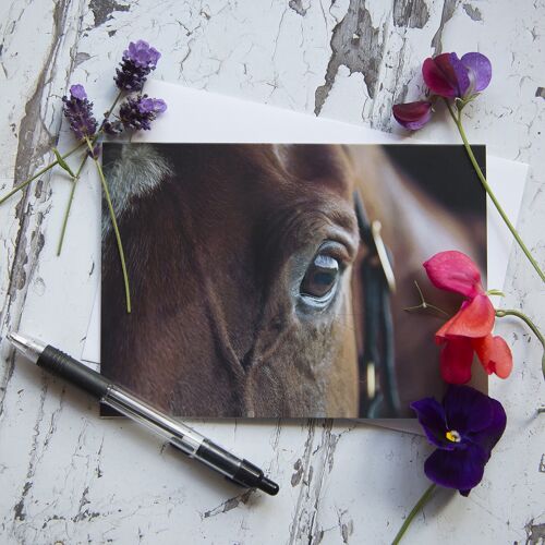 watching- horse portrait card