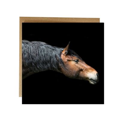 Stretch - cheval étirant son cou carte de vœux portrait