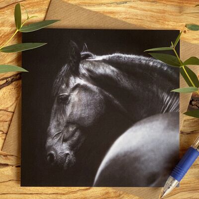 Sanfte - schwarze Pferdeporträt-Grußkarte