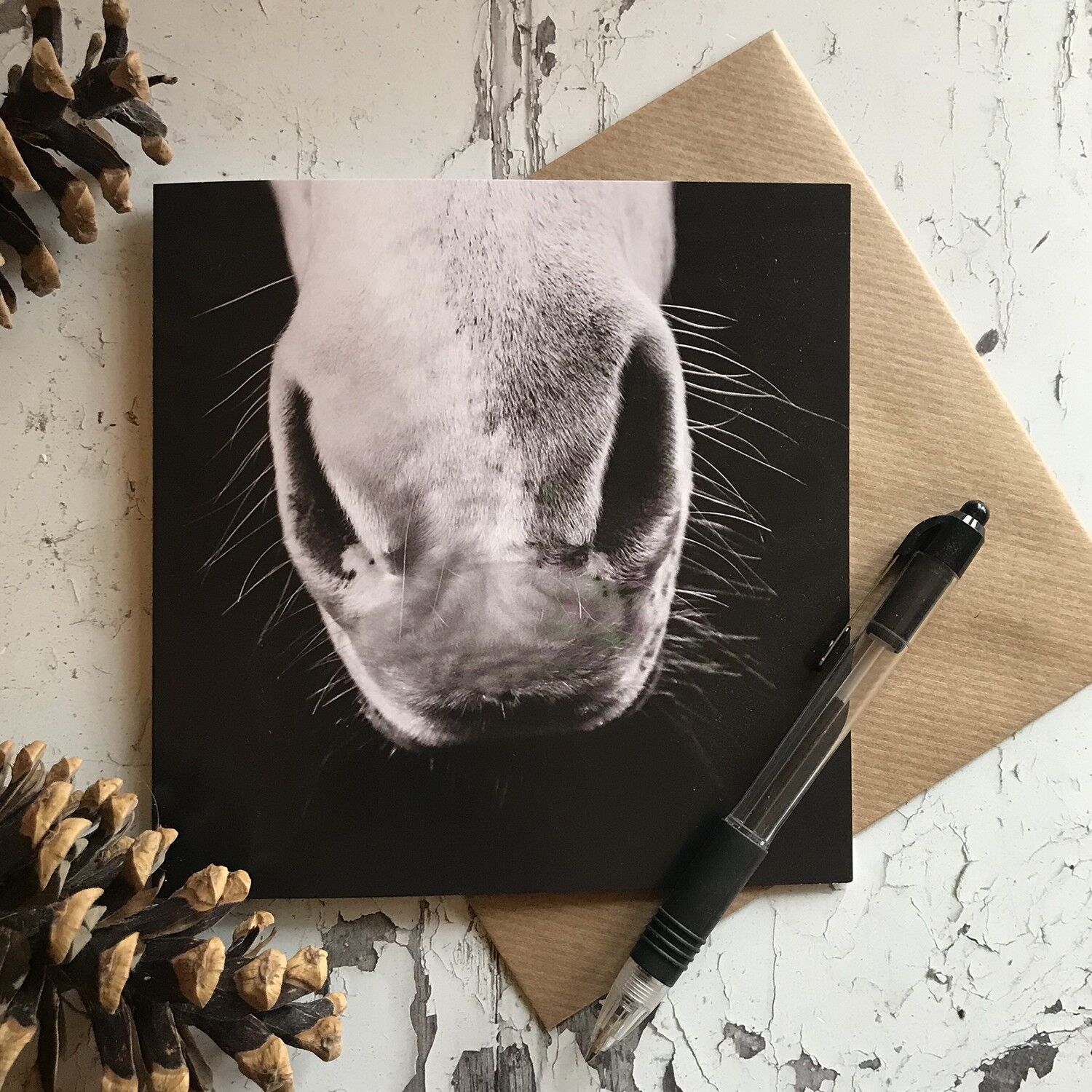 Pferdenase nah oben Grußkarte