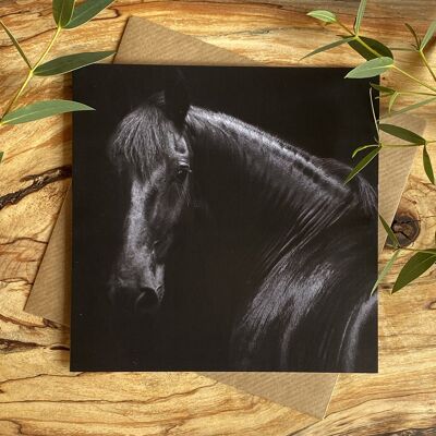 In attesa, carta cavallo nero Black