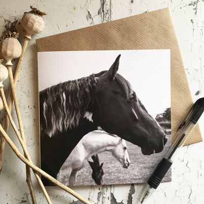 Looking, Eating, Sleeping, Horse Greeting Card