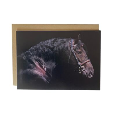 A Moment to Think, Equestrian portrait Greeting Card