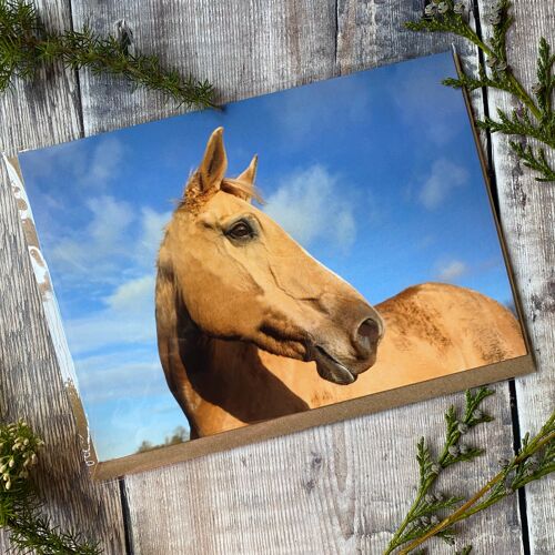 Golden Girl Horse Greeting Card