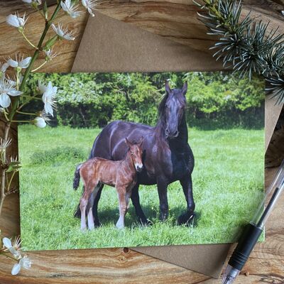 Hermoso bebé - caballos madre y potro tarjetas de felicitación
