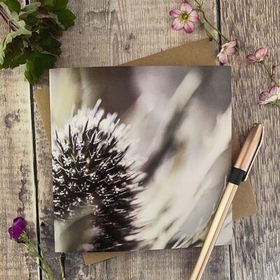 Sea Holly Floral greeting card