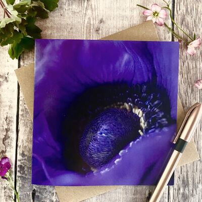 Anemone - purple floral greeting card