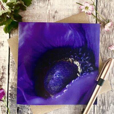 Anémone - carte de voeux florale violette