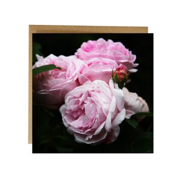 Carte de voeux de roses roses 2