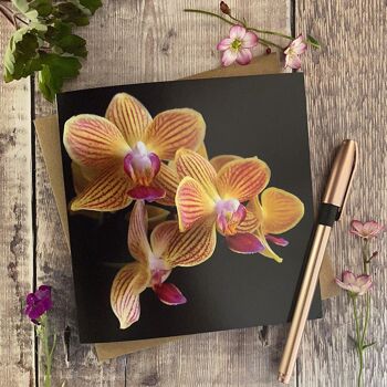 Orchidée - Une touche de couleur Carte de vœux 2