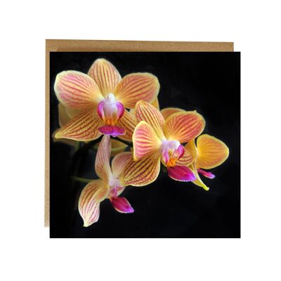 Orchidea - Biglietto d'auguri con un tocco di colore
