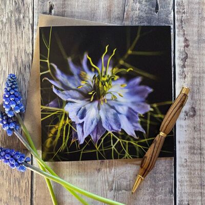 Love In A Mist - nigella greeting card