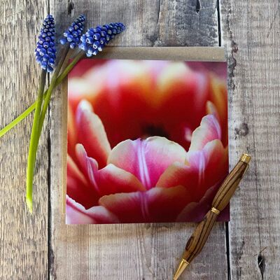 Tulipanes - feliz de ser diferente - tarjeta de felicitación