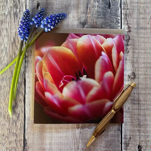 Tiptoe through the tulips Greeting card