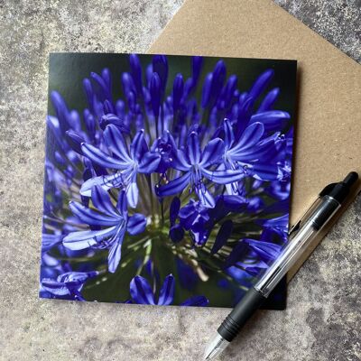 La couleur Bleu - Carte de voeux florale