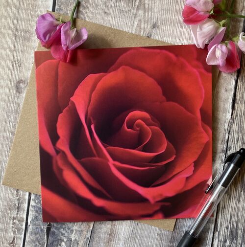 Take time to smell the Roses - Greeting card