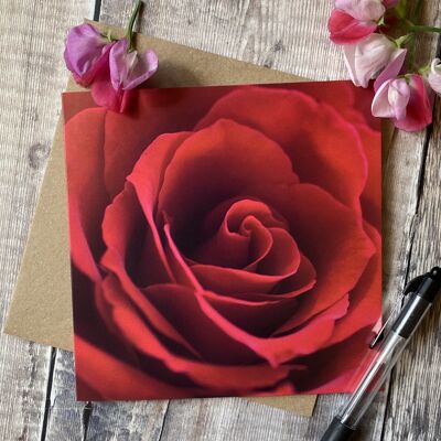 Tómate el tiempo para oler las rosas - Tarjeta de felicitación