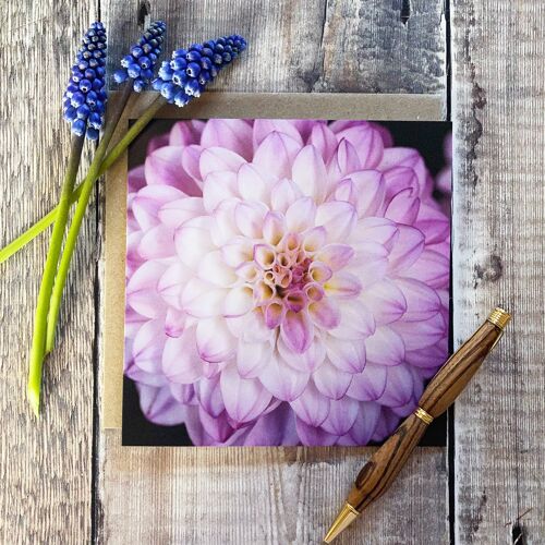 Lilac Pink soft colour Dhalia Greeting card