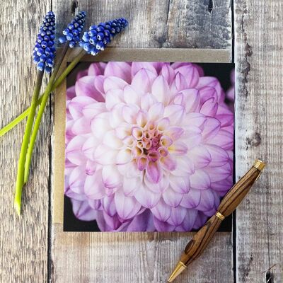 Tarjeta de felicitación Dhalia de color suave rosa lila