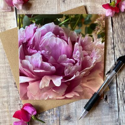 Cartolina d'auguri bella peonia rosa