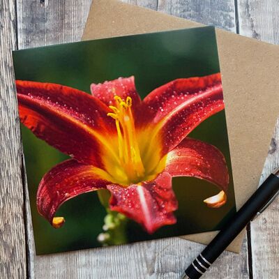 Lily - to Brighten up your day greeting card