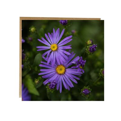 Tarjeta de felicitación floral púrpura de la realeza