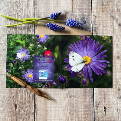 Papillon blanc de chou sur carte de voeux de fleur