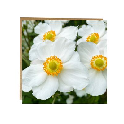 Tarjeta de felicitación floral de anémona japonesa