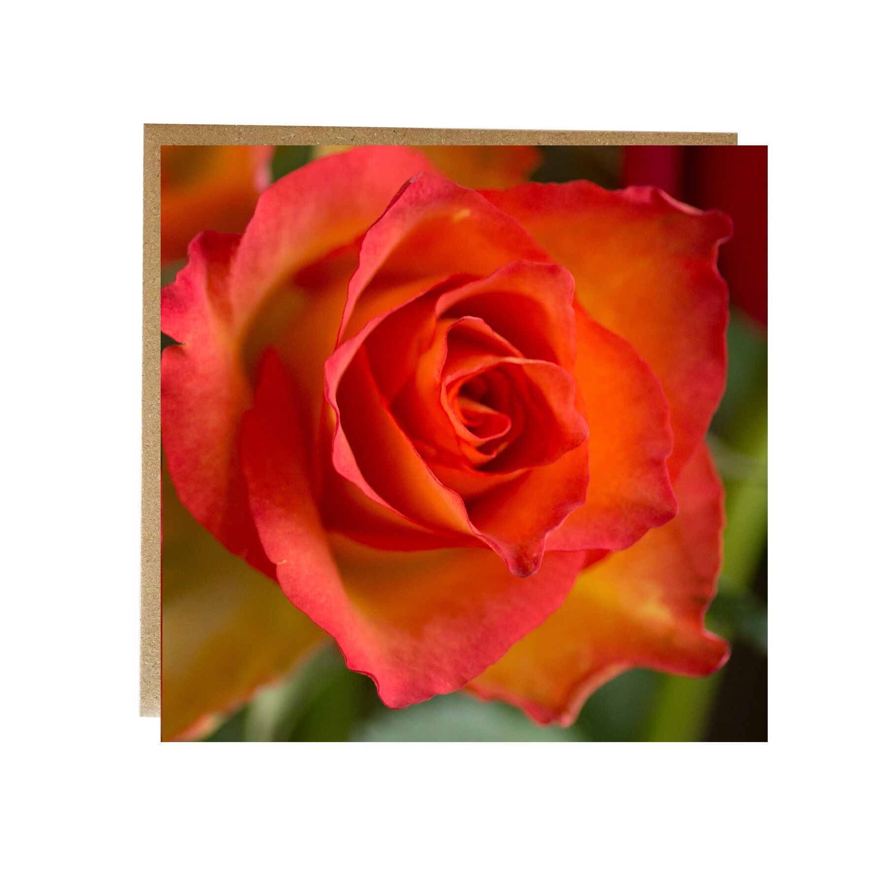 Calore ed equilibrio Biglietto di auguri floreale