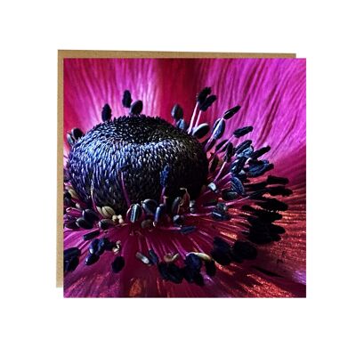 Bright and Beautiful Floral Greeting Card