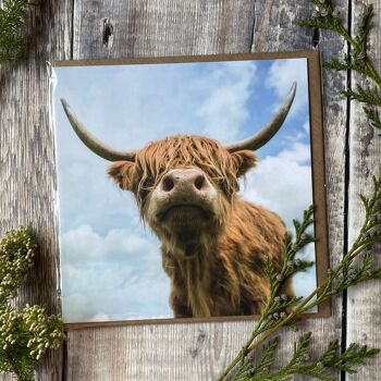 Carte de voeux Highland Cow 1