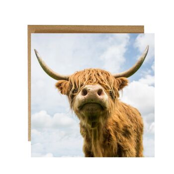 Carte de voeux Highland Cow 2
