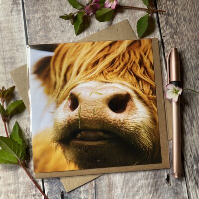 Just Chillin - highland cow Greeting Card