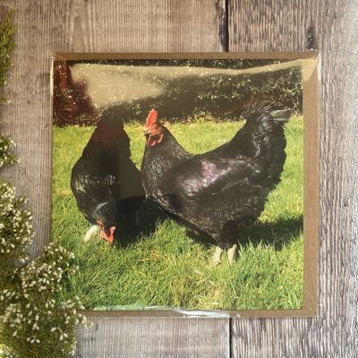 I can't Lay while you're watching chicken Greeting Card