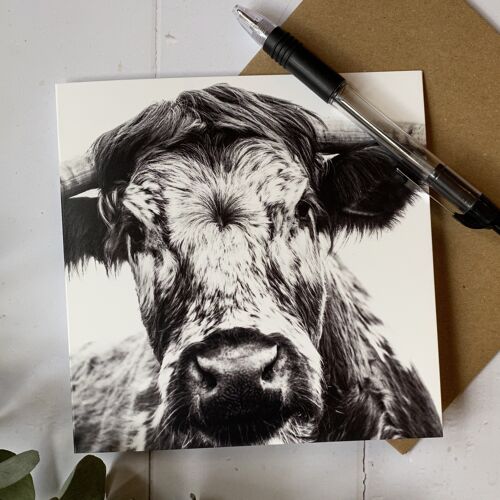 I'm a Gentle Soul - Longhoorn cow greeting card