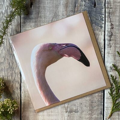 Rosa Flamingo-Grußkarte