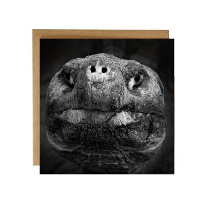 Old Timer - Galapagos TortoISE Greeting Card