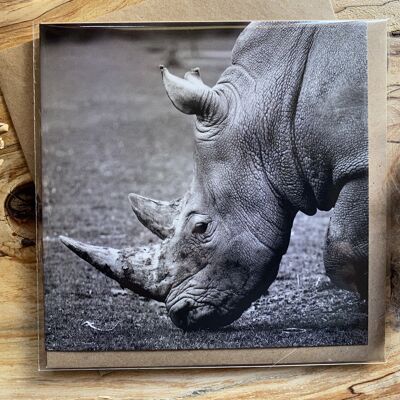 Protect Me - Rhino in the wild Greeting Card